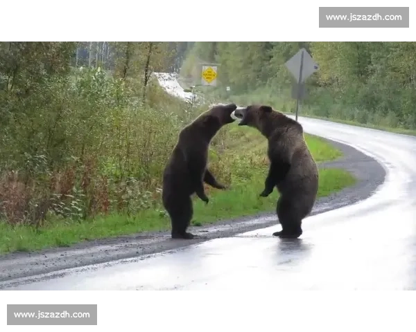 灰熊与黄蜂激战正酣 谁能笑到最后掀起新一轮强强对决