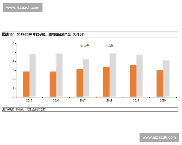 以12月VS5为中心的市场洞察与趋势对比深度分析报告展望未来